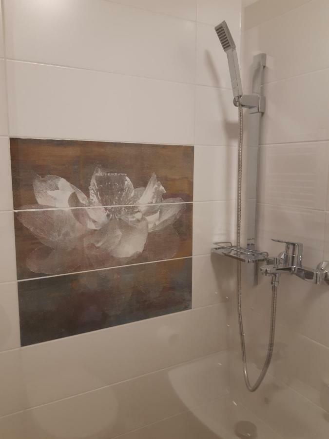 Apartman Plesnivec ドノヴァリ エクステリア 写真