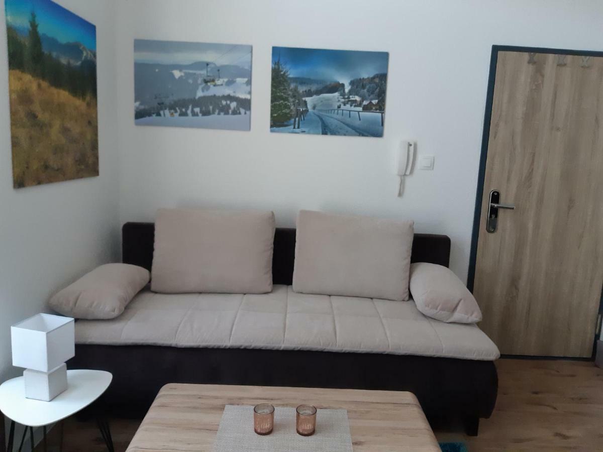 Apartman Plesnivec ドノヴァリ エクステリア 写真