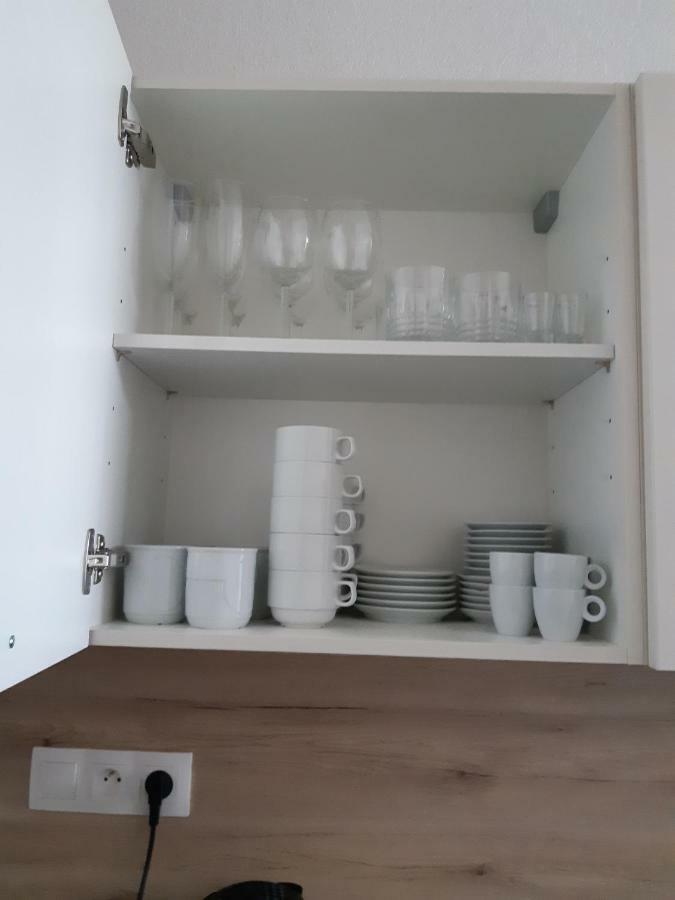 Apartman Plesnivec ドノヴァリ エクステリア 写真