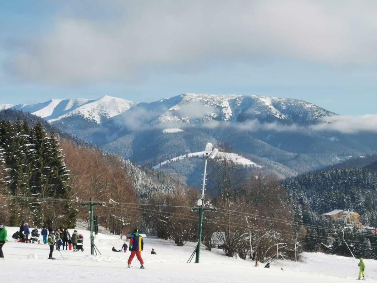 Apartman Plesnivec ドノヴァリ エクステリア 写真