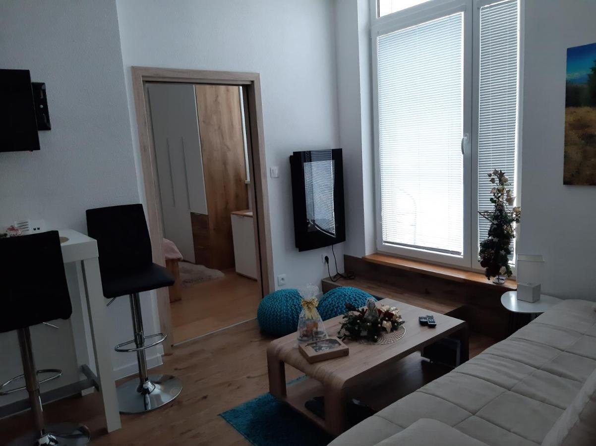 Apartman Plesnivec ドノヴァリ エクステリア 写真