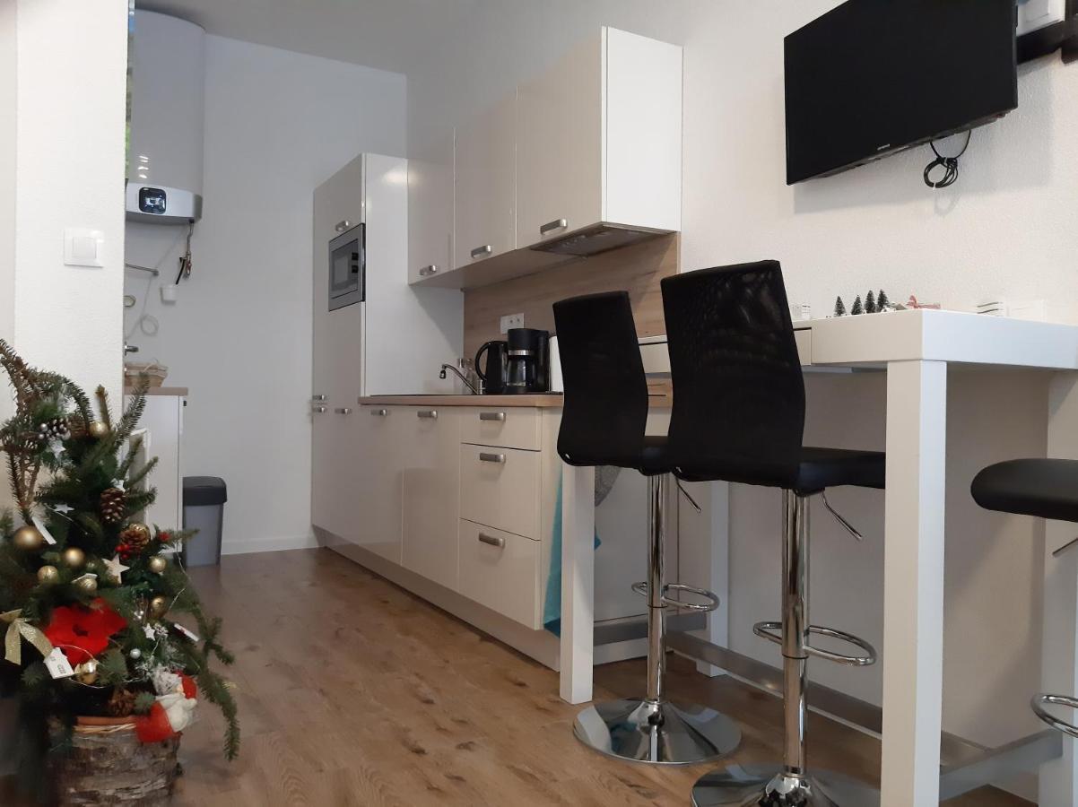 Apartman Plesnivec ドノヴァリ エクステリア 写真