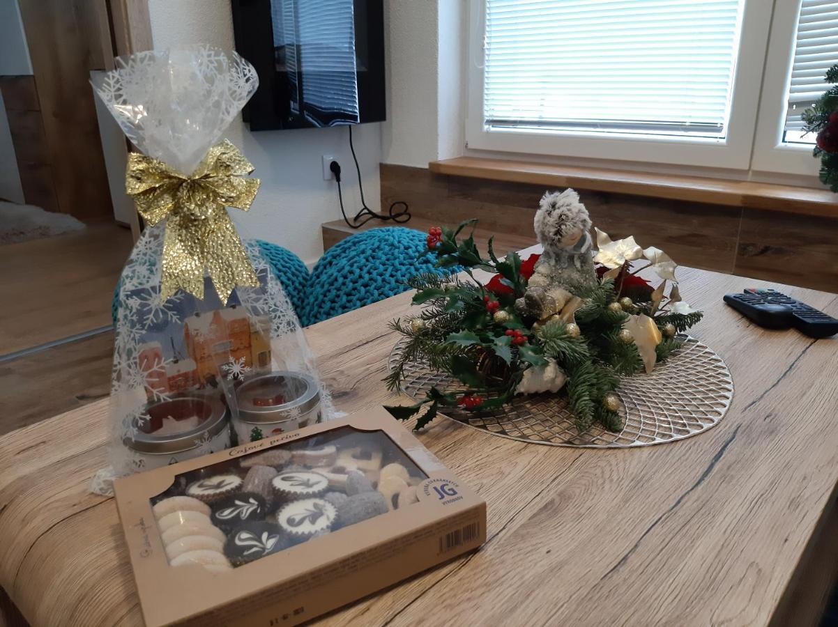 Apartman Plesnivec ドノヴァリ エクステリア 写真