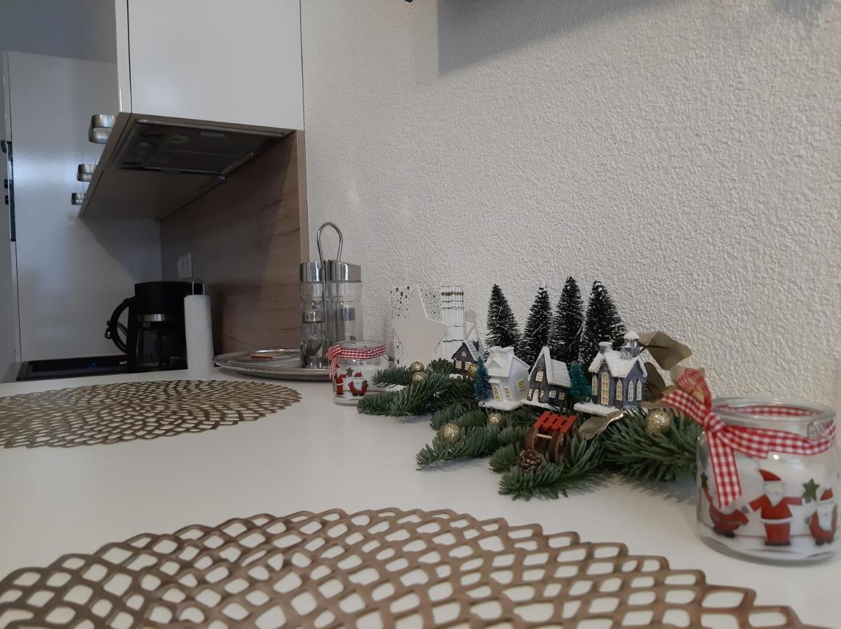Apartman Plesnivec ドノヴァリ エクステリア 写真